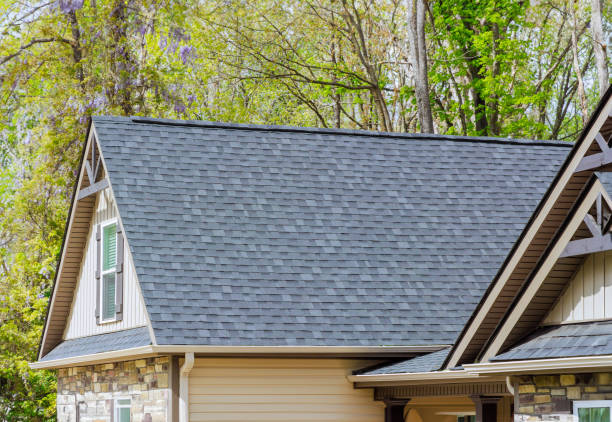 Trusted Robie Creek, ID Roofing Experts